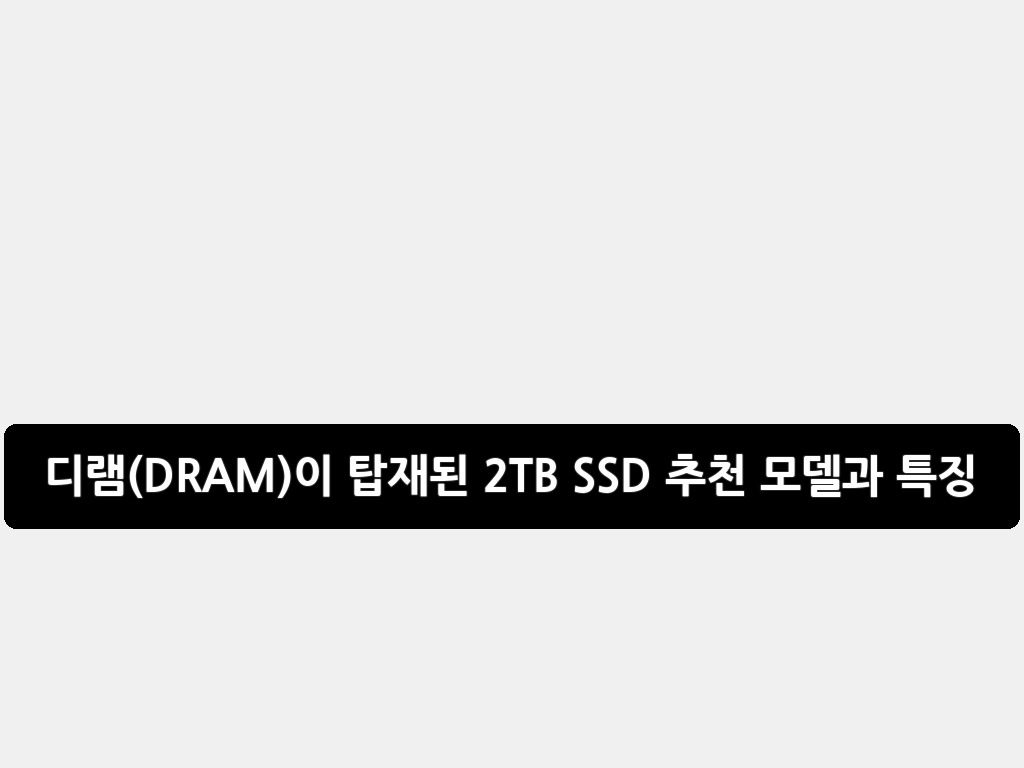 디램(DRAM)이 탑재된 2TB SSD 추천 모델과 특징 2026 총정리